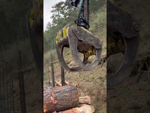 1510G Forwarder in Action: Watch It Move the Logs!🌲🚜 #forest #johndeere #forwarder #wood #farming thumbnail