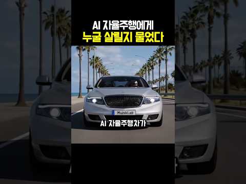 AI 자율주행에게 누굴 살릴지 물었다 thumbnail