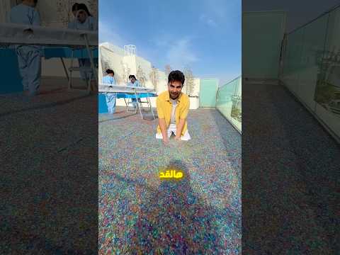 نهاية تحدي الأوربيز 💔 فتحت المسبح !! 🤯😳 thumbnail