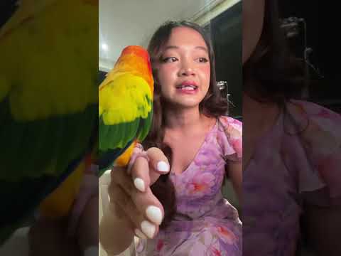 INSANE BIRB KARAOKE #funny #shorts thumbnail