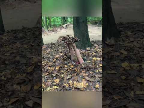 @knbangla550 НЕ ЛЕЗЬ ТУДА thumbnail
