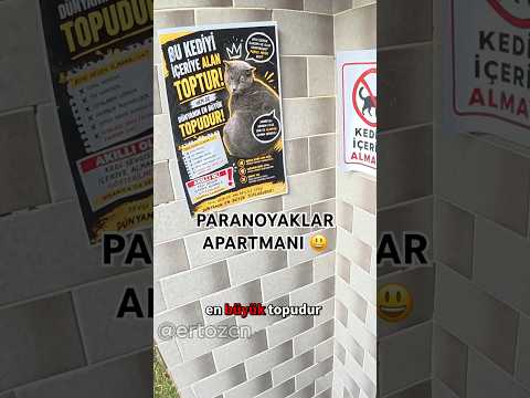 Deliler apartmanına hoşgeldiniz ahhsus #keşfet #motovlog #kurye #kedi #shorts thumbnail