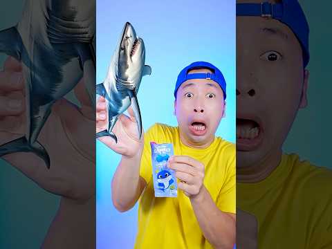 Lolipop Baby Shark🍭 #asmr #mukbang #makansesuaiemoji #videomakan #videolucu thumbnail