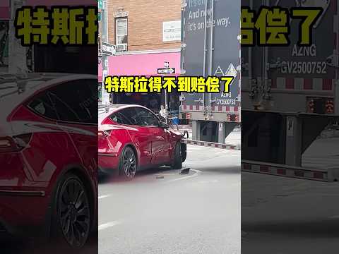 特斯拉这下没得赔偿了！#shorts #短视频 #趣事 #有趣 thumbnail