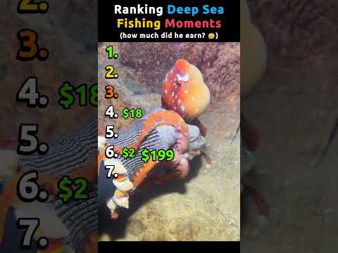 Ranking Deep Sea Fishing Moments Pt.4 | wonder how much did he earn? 😵‍💫#deepseafishing thumbnail