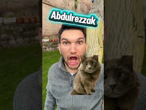 Kızların vs erkeklerin kedilerine koyduğu isimler ￼ thumbnail