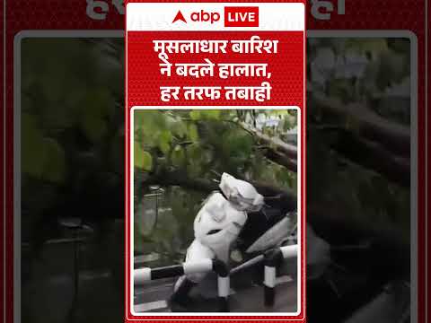 Viral News : मूसलाधार बारिश ने बदले हालात, हर तरफ तबाही | #ytshorts #viralvideo #weatherupdate thumbnail