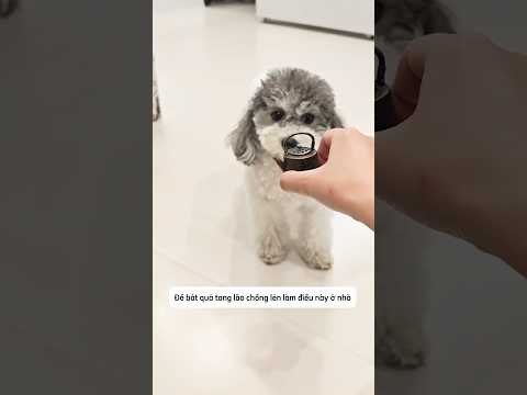 Mẹ bắt quả tang bố làm thói quen xấu #shorts thumbnail