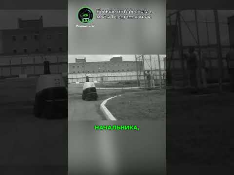 Робот-стукач уже в колонии ? Теперь он следит за всеми thumbnail