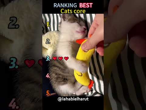 #pov #tools #foryoupage #fyp #fypシ゚viral #fypツ thumbnail
