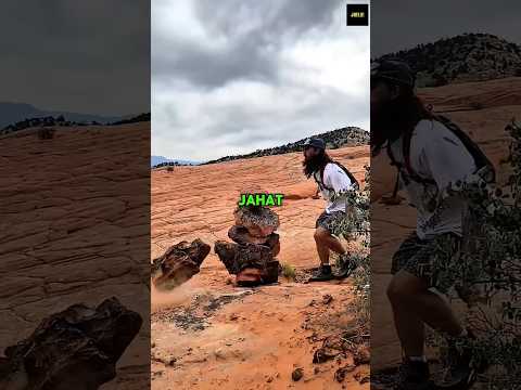 Tumpukan Batu ini Ternyata Merusak Alam! thumbnail