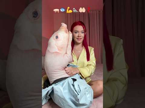 the WEIRDEST PILLOWS in the world😳🫣Subscribe for new part:) thumbnail