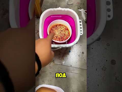 Учительница думала, что лапша нарисована… !😳 thumbnail
