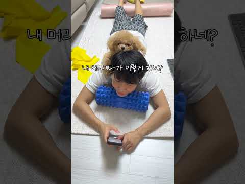 동물학대 당하는 천재견 토리의 충격적인 실체 thumbnail