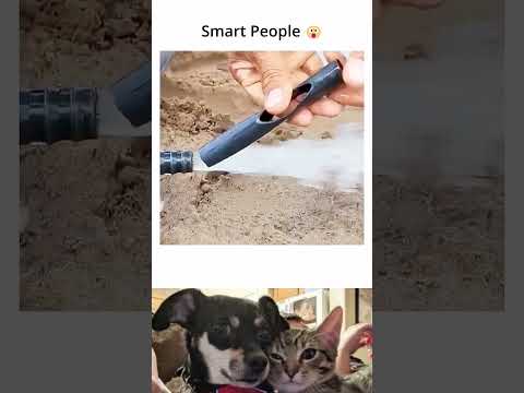 Best videos of the year you must watch #ShortVideo #trending thumbnail