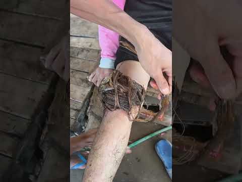 Luar Biasa! Pohon Pisang Punya Segudang Manfaat untuk Kehidupan Sehari-hari #fyp #shorts thumbnail