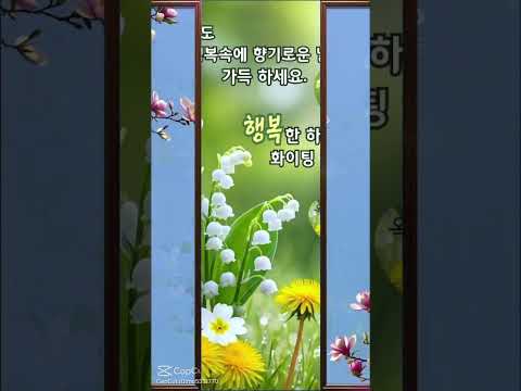 인사드립니다 행복한 한주 보내시고 좋은일만 가득하세요 #안중태tv #shorts thumbnail