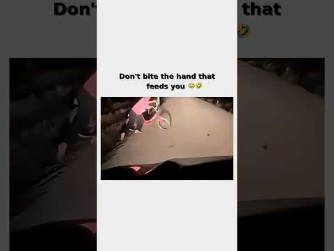 The driver understood the assignment 😂 Subscribe for more #shorts thumbnail