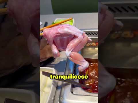 Le Sirvieron la Comida… Y Empezó a Moverse Sola en el Plato ?⚠️ thumbnail