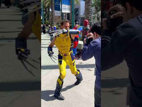 Stop Watch + Wolverine thumbnail