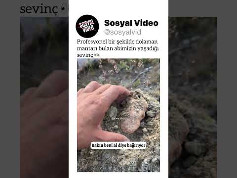 Profesyonel bir şekilde dolaman mantarı bulan abimizin yaşadığı sevinç ? thumbnail