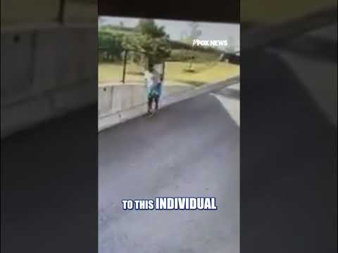 WATCH: Alleged fraudster ESCAPES after being charged #shorts #us #news #foxnews thumbnail