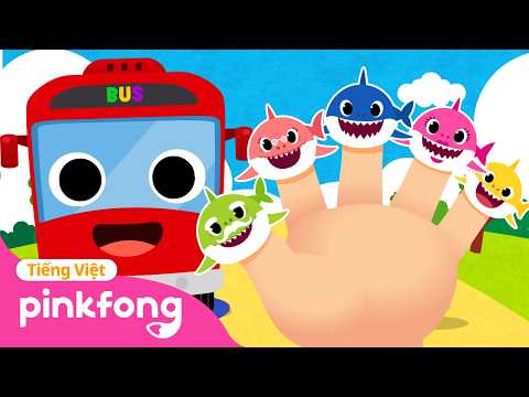 Tuyển tập Xe buýt sắc màu & Gia đình ngón tay cá mập | ? Cá Mập Con Baby Shark Pinkfong thumbnail