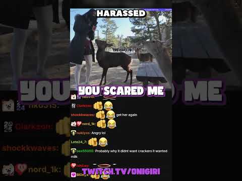 Bro got HARASSED by deers thumbnail