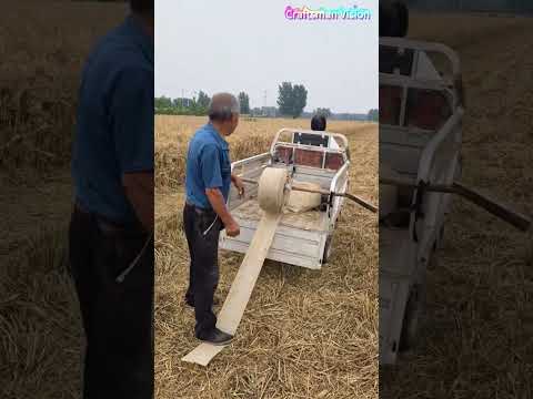 استخدم دراجة ثلاثية العجلات كدعامة متنقلة لنشر خرطوم الري بسرعة. thumbnail