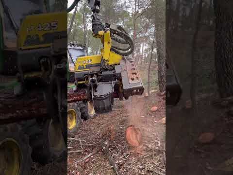 Harvester 1270G in Action 🌲💪 | Real Day in the Forest #harvester #forest #johndeere #wood #tree thumbnail