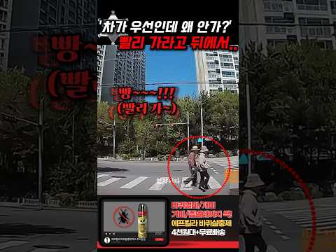 '차가 우선이야! 그냥 가라고!' 뒤에서 막무가내로 경적을 울리던 빌런은.. thumbnail