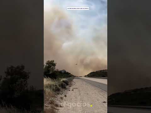 Un incendio forestal se propaga en San Diego, California y obliga a evacuar a los vecinos thumbnail