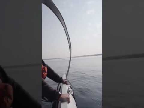 MICHOU A ÉTÉ VOIR DES BALEINES AU CANADA 🤩 #michou #humour #comedy #story #fyp #youtubeshorts thumbnail