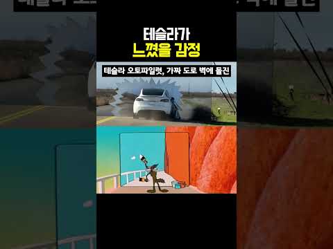 테슬라가 느꼈을 감정 thumbnail