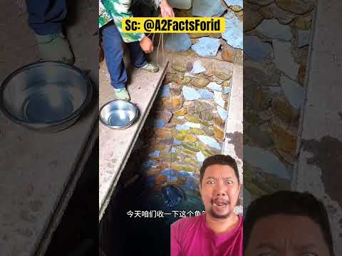 Ayah ambil air di sumur yang dalam!!? thumbnail
