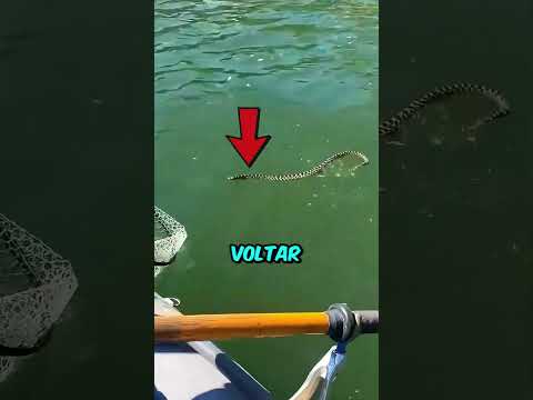 Como ESCAPAR de uma COBRA! #curiosidades #animais #incrivel thumbnail