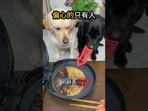 他們是真感情?只想為大家好? thumbnail