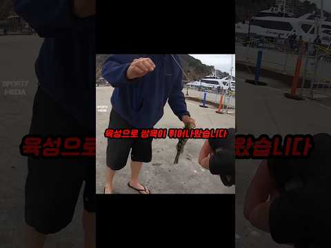 가슴에서 용암이 끓어오르네 thumbnail