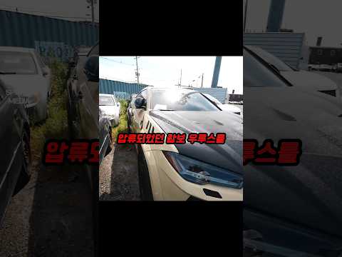 견인 된 람보 우루스가 망가졌다 thumbnail