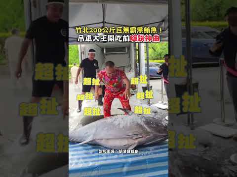 竹北200公斤巨無霸黑鮪魚！吊車大王開吃前嗨跳神曲 #shorts #竹北 #200公斤 #黑鮪魚 #吊車大王 #開心 #超扯 @ChinaTimes thumbnail
