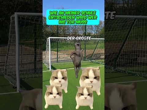Wie an meiner Schule entschieden wird WER INS TOR MUSS #Katzenvideos #fußball   #schule #shorts thumbnail