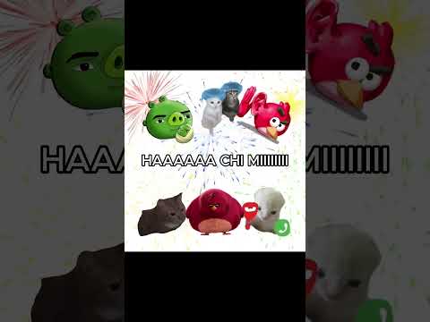 HACHIMI CHIMI CHI!!! #angrybirds #meme thumbnail