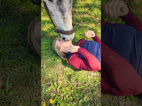 💋🐴😂 #horses #horse #equestrian #stallion #funnyanimals #pony #horsegirl #horseriding #horsetrick thumbnail