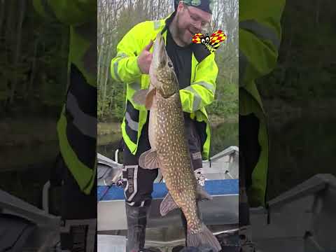 Jim, 43, fångade monstergädda på 17 kilo thumbnail