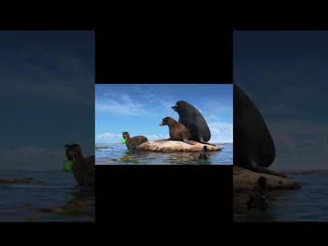 Just a couple of typical British seal geezers minding their rock @DisneyClubUK thumbnail