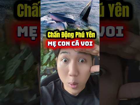 Tuyệt vời quá mọi người ơi thumbnail