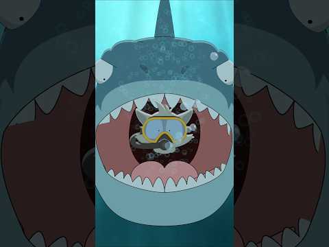 القرش الأبيض الكبير في الحلقة القادمة في برنامج كيف ماذا ولماذا؟ - The Great White Shark thumbnail