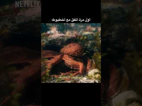 #نتفليكس #أفلام_نتفليكس مافي أحلى من البيت 🚶‍♀️📺: Remarkably Bright Creatures thumbnail