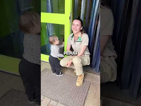Bayi Jenius Ini Nipu Petugas ?? thumbnail