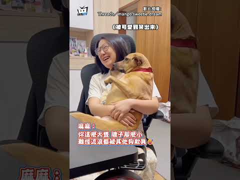 【體型和膽子成反比】狗勾被媽抱懷中"看殭屍片"眼神瘋狂閃避XD #shorts thumbnail